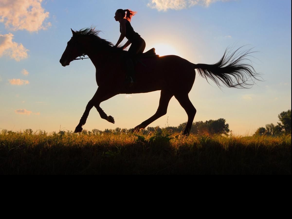 horseback-riding-and-back-pain-ward-chiropractic-rehabilitation